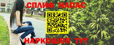 гашик Краснодар