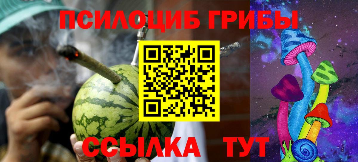 Псилоцибиновые грибы Magic Shrooms  дарнет шоп  Псилоцибиновые грибы GOLDEN TEACHER  Клинцы  Вход с VPN 