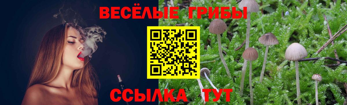 Галлюциногенные грибы Magic Shrooms Клинцы